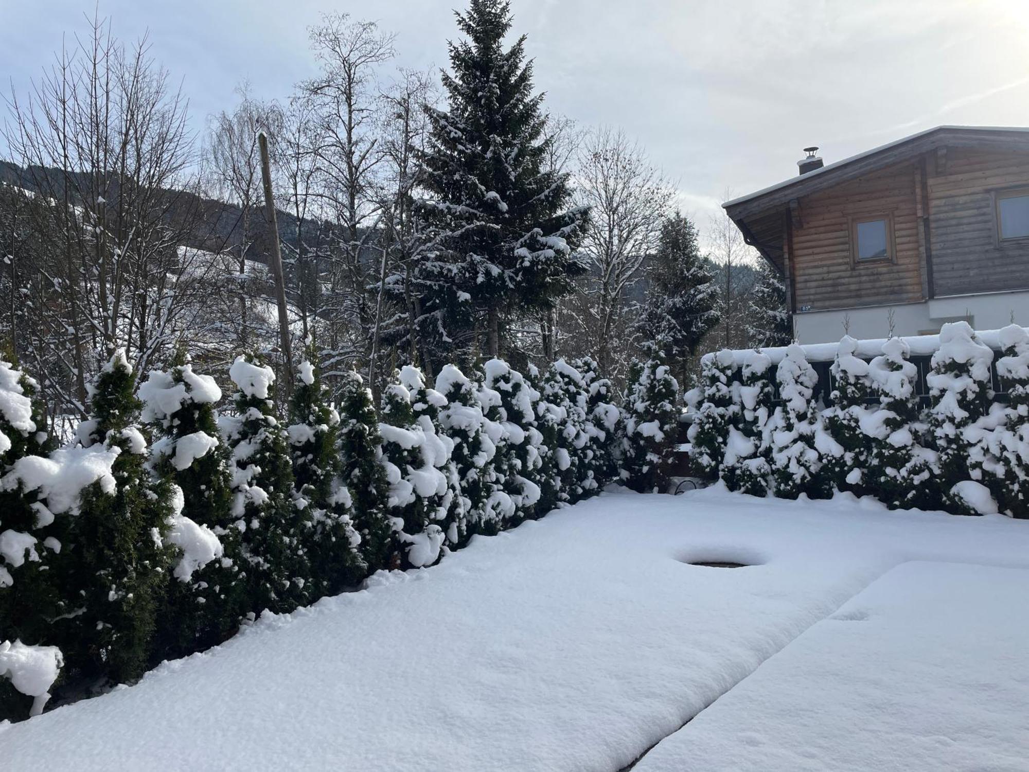 Garten Suite Kirchberg By Alpine Host Helpers Kirchberg in Tirol Exterior foto